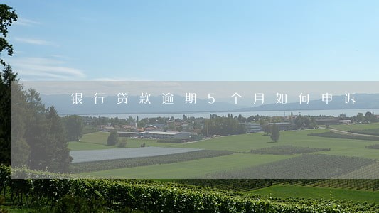 银行贷款逾期5个月如何申诉 银行贷款逾期5个月如何申诉