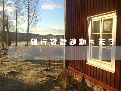 银行贷款逾期5天了 银行贷款逾期5天了
