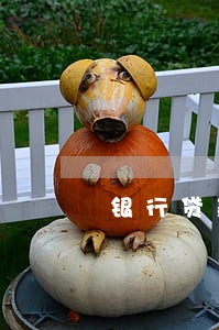 银行贷款逾期5天农信 银行贷款逾期5天农信