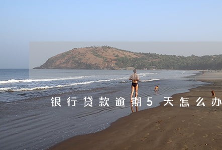银行贷款逾期5天怎么办 银行贷款逾期5天怎么办