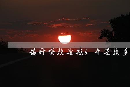 银行贷款逾期5年还款多少 银行贷款逾期5年还款多少