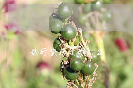 银行贷款逾期5次 银行贷款逾期5次