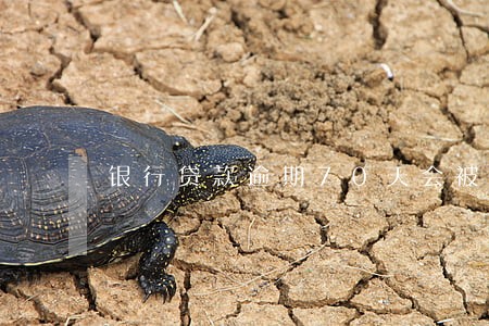 银行贷款逾期70天会被拘留吗 银行贷款逾期70天会被拘留吗