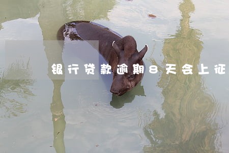 银行贷款逾期8天会上征信吗 银行贷款逾期8天会上征信吗