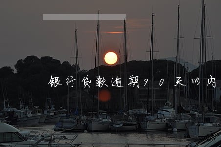 银行贷款逾期90天以内分类 银行贷款逾期90天以内分类