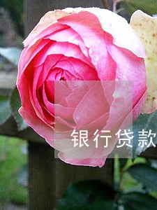 银行贷款逾期90天以的影响 银行贷款逾期90天以的影响