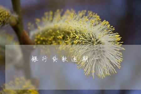银行贷款逾期一 银行贷款逾期一