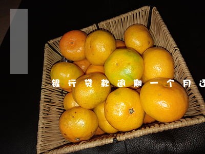 银行贷款逾期一个月还可以吗 银行贷款逾期一个月还可以吗