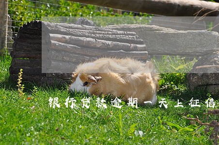 银行贷款逾期一天上征信吗 银行贷款逾期一天上征信吗