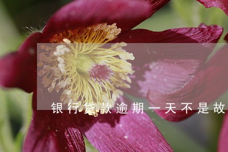 银行贷款逾期一天不是故意的 银行贷款逾期一天不是故意的