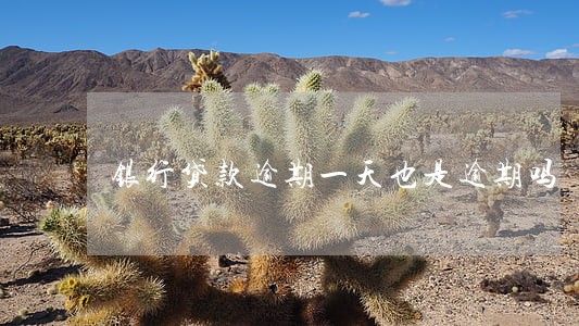银行贷款逾期一天也是逾期吗 银行贷款逾期一天也是逾期吗