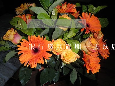 银行贷款逾期一天以后有影响 银行贷款逾期一天以后有影响