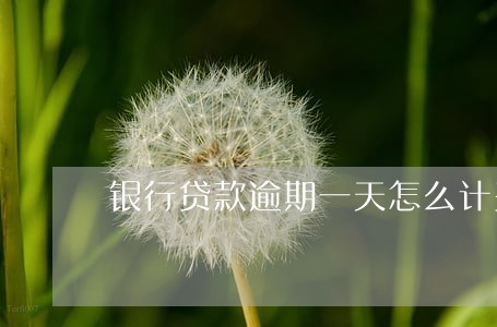 银行贷款逾期一天怎么计费 银行贷款逾期一天怎么计费