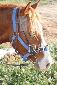 银行贷款逾期一天有啥后果 银行贷款逾期一天有啥后果