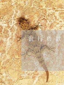 银行贷款逾期一天有影响吗 银行贷款逾期一天有影响吗