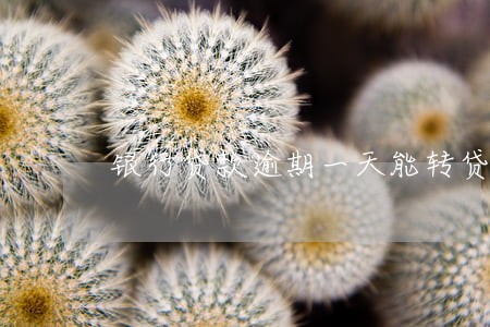 银行贷款逾期一天能转贷吗