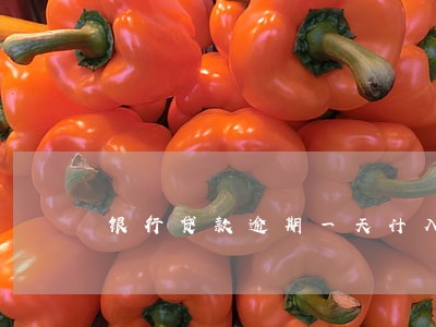 银行贷款逾期一天计入征信吗 银行贷款逾期一天计入征信吗