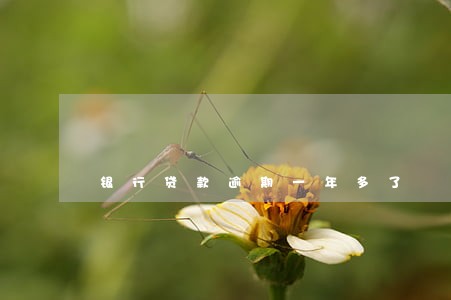 银行贷款逾期一年多了