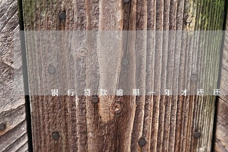 银行贷款逾期一年才还还清 银行贷款逾期一年才还还清