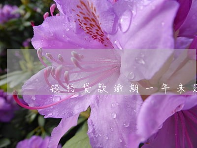 银行贷款逾期一年未还款 银行贷款逾期一年未还款