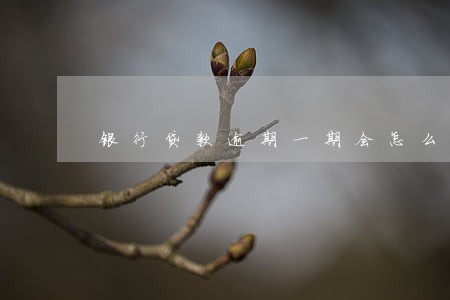 银行贷款逾期一期会怎么样 银行贷款逾期一期会怎么样
