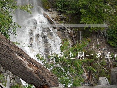 银行贷款逾期一次还清 银行贷款逾期一次还清
