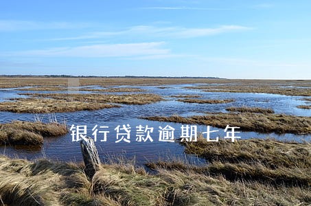 银行贷款逾期七年