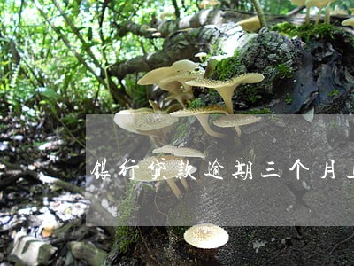 银行贷款逾期三个月上征信