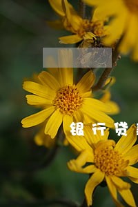 银行贷款逾期三个月多催款 银行贷款逾期三个月多催款