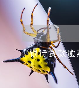 银行贷款逾期三个月未还