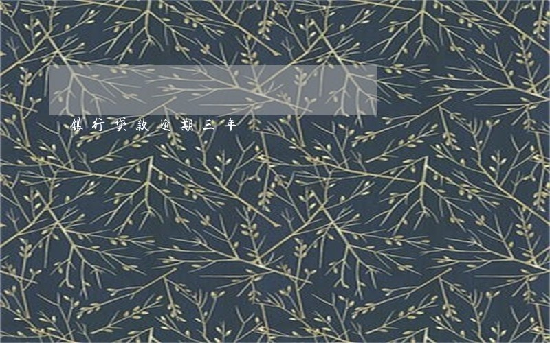 银行贷款逾期三年