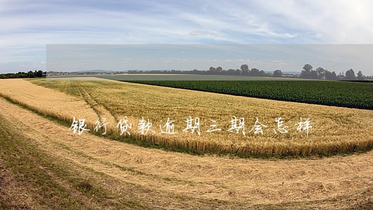 银行贷款逾期三期会怎样 银行贷款逾期三期会怎样