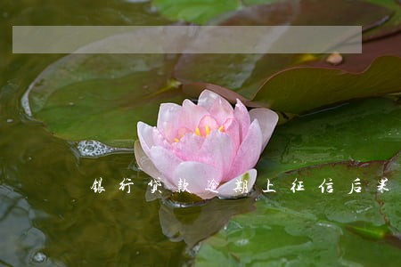 银行贷款逾期上征信后果是什么 银行贷款逾期上征信后果是什么