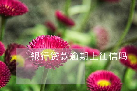 银行贷款逾期上征信吗 银行贷款逾期上征信吗