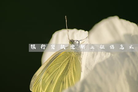 银行贷款逾期上征信怎么消除 银行贷款逾期上征信怎么消除