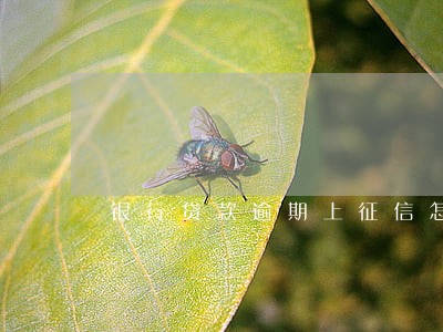 银行贷款逾期上征信怎样处理