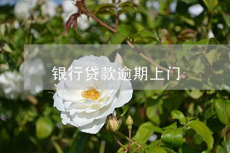 银行贷款逾期上门