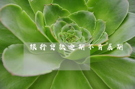 银行贷款逾期不肯展期 银行贷款逾期不肯展期