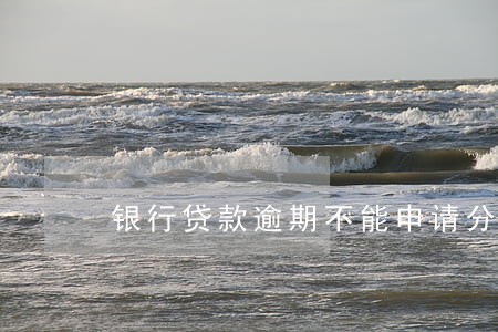 银行贷款逾期不能申请分期吗 银行贷款逾期不能申请分期吗