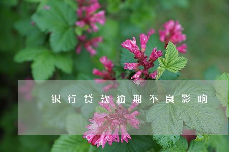 银行贷款逾期不良影响