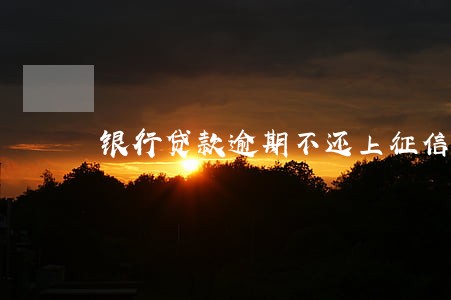 银行贷款逾期不还上征信吗 银行贷款逾期不还上征信吗