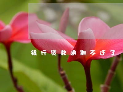 银行贷款逾期不还了 银行贷款逾期不还了