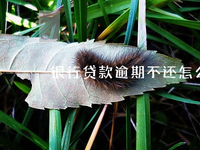银行贷款逾期不还怎么判 银行贷款逾期不还怎么判