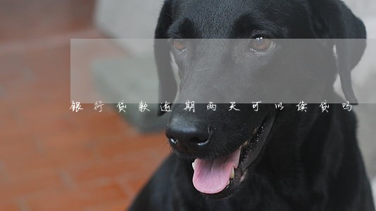 银行贷款逾期两天可以续贷吗 银行贷款逾期两天可以续贷吗