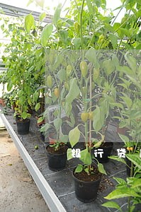 银行贷款逾期两天影响信贷 银行贷款逾期两天影响信贷