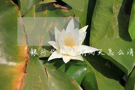 银行贷款逾期两天怎么消 银行贷款逾期两天怎么消