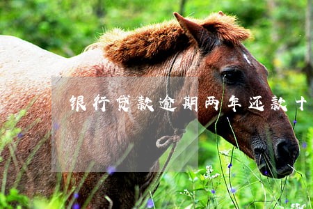 银行贷款逾期两年还款十元 银行贷款逾期两年还款十元