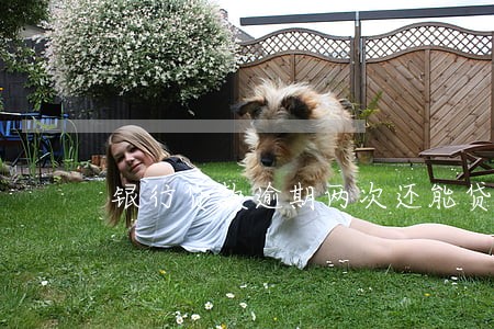 银行贷款逾期两次还能贷款吗 银行贷款逾期两次还能贷款吗