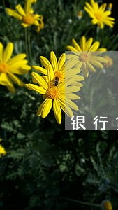 银行贷款逾期两百多天 银行贷款逾期两百多天