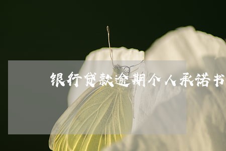 银行贷款逾期个人承诺书 银行贷款逾期个人承诺书